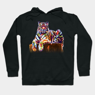 Colorful Tiger Hoodie